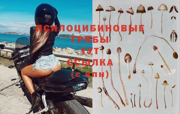 шишки Нефтегорск